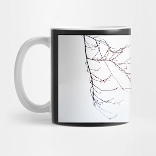 Cherry Branch Mug